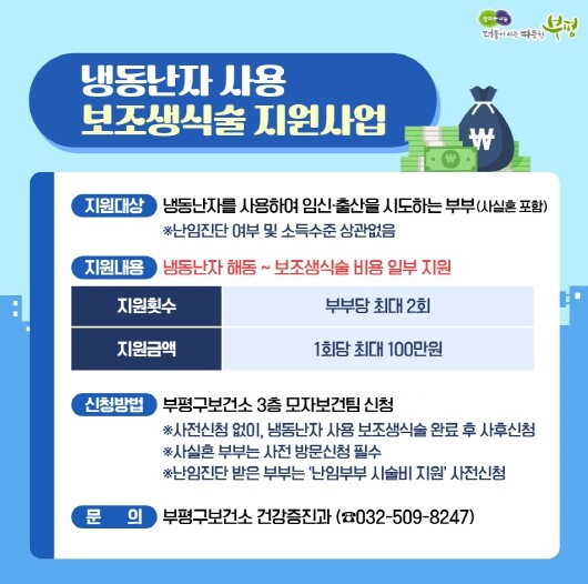 부평구, ‘냉동 난자 사용 보조생식술...