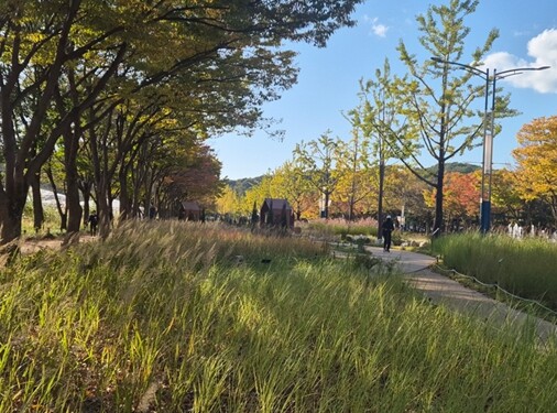 인천시, 가을의 끝자락 인천대공원에서...