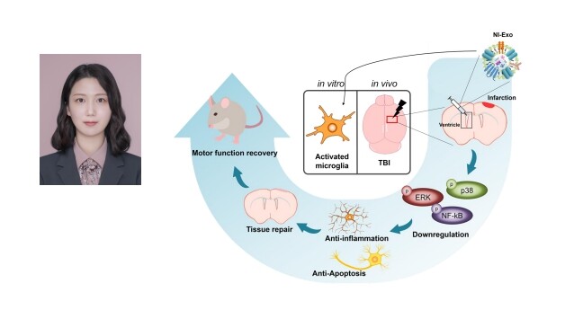 전남대 박사과정생, 엑소좀으로 뇌손상...