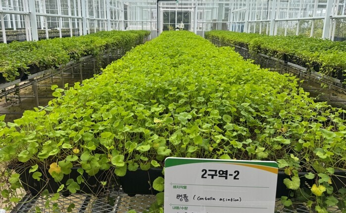 전남산림연구원, 케이-뷰티 이끌 ‘병...