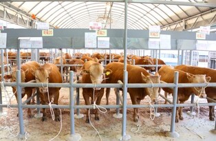 나주시, 전남도 가축유통시설 현대화 공모 최종 선정