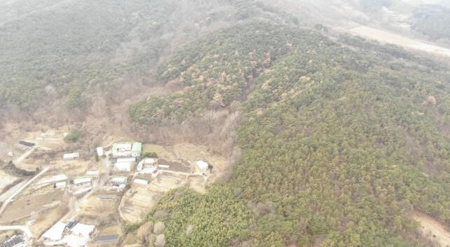 예산군, 건강한 산림 보전 위한 소나...