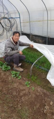 전남도, 1월 친환경농산물에 함평 냉...