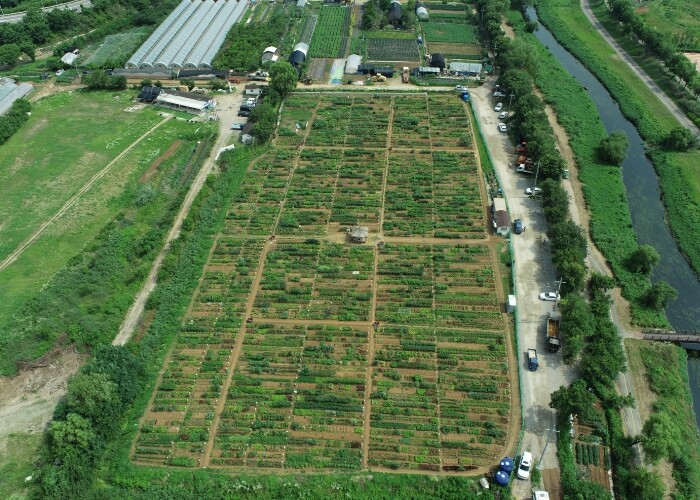 남동구, 2026년 공공 주말농장 텃...