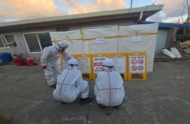 옹진군, 2026년 슬레이트 건축물 ...