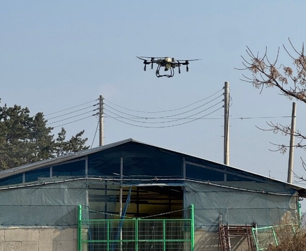 무안군, “아프리카돼지열병 확산 차단...