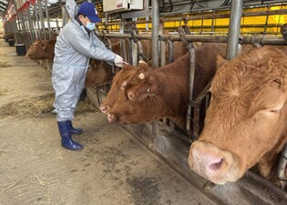 고양시, 구제역 백신 100% 접종 완료