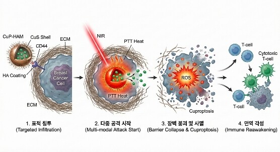 전남대, ‘삼중음성 유방암’ 무너뜨리...
