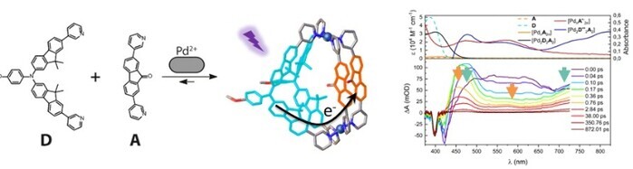 전남대, 광유도 전하 분리 초분자 나...