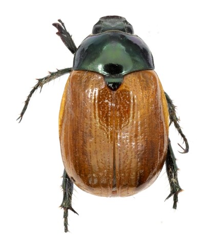 국립호남권생물자원관, 20여 년 노력...