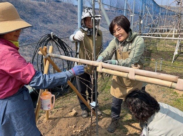 수원시 농업기술센터, '과수공...