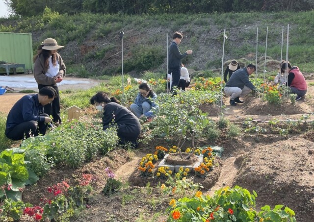 광주광역시, 도시농업 전문인력 키운다...
