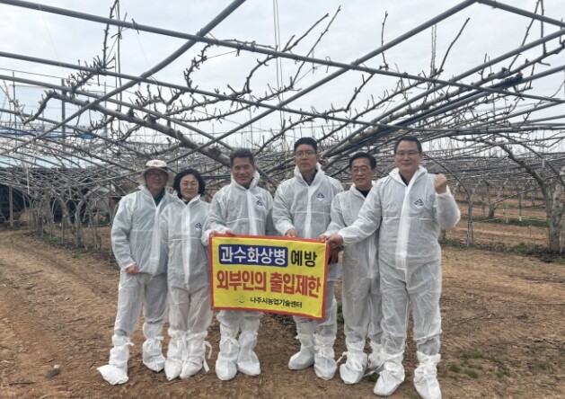 나주시, 배 개화기 앞두고 과수화상병...