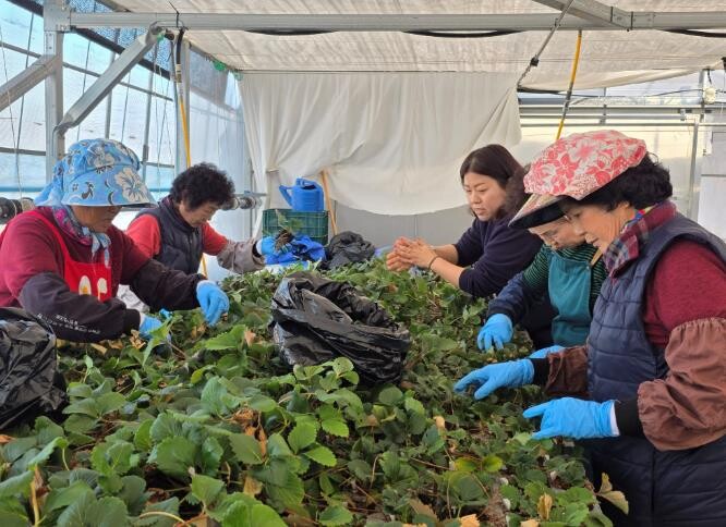 전남도 여성농업인 복지사업, 더 넓고...