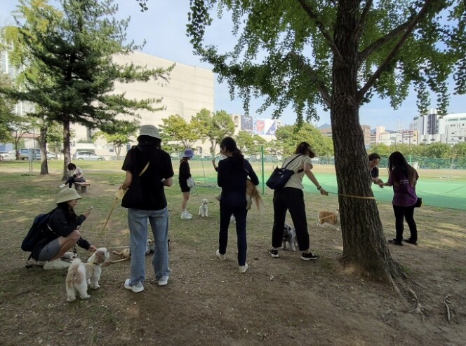 과천시, 취약가구 반려동물 의료·돌봄...